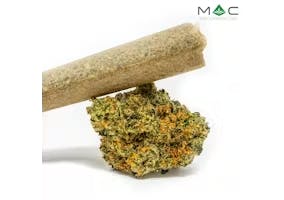 Dark Desire #6 | Pre-Roll