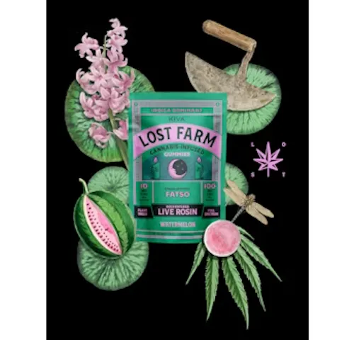 Watemelon x Fatso | Rosin Gummies | 10pk | 100mg-active