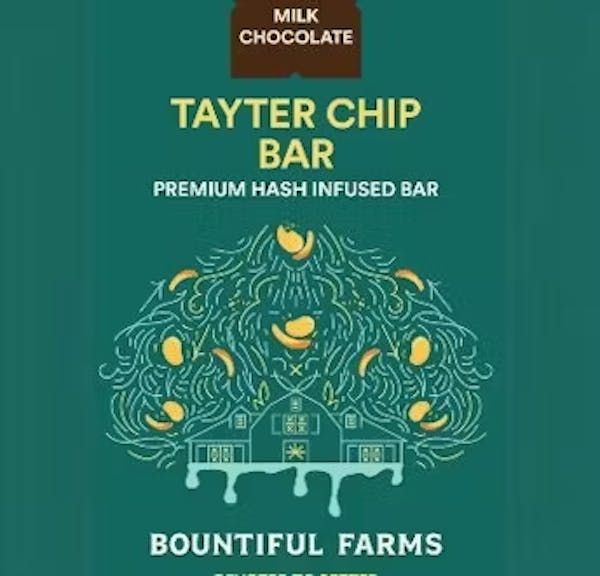 Tayter Chip (H) - 100mg Hash Infused Milk Chocolate Bar - Bountiful Farms