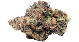 HiBuzz - Rivermont - Cannabis Dispensary, Brampton ON | Dutchie