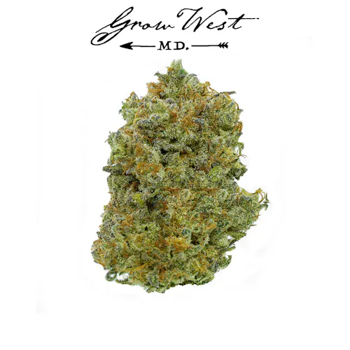 Goat Piss 3.5g – Grow West Reserve (Pre-Pack)-active