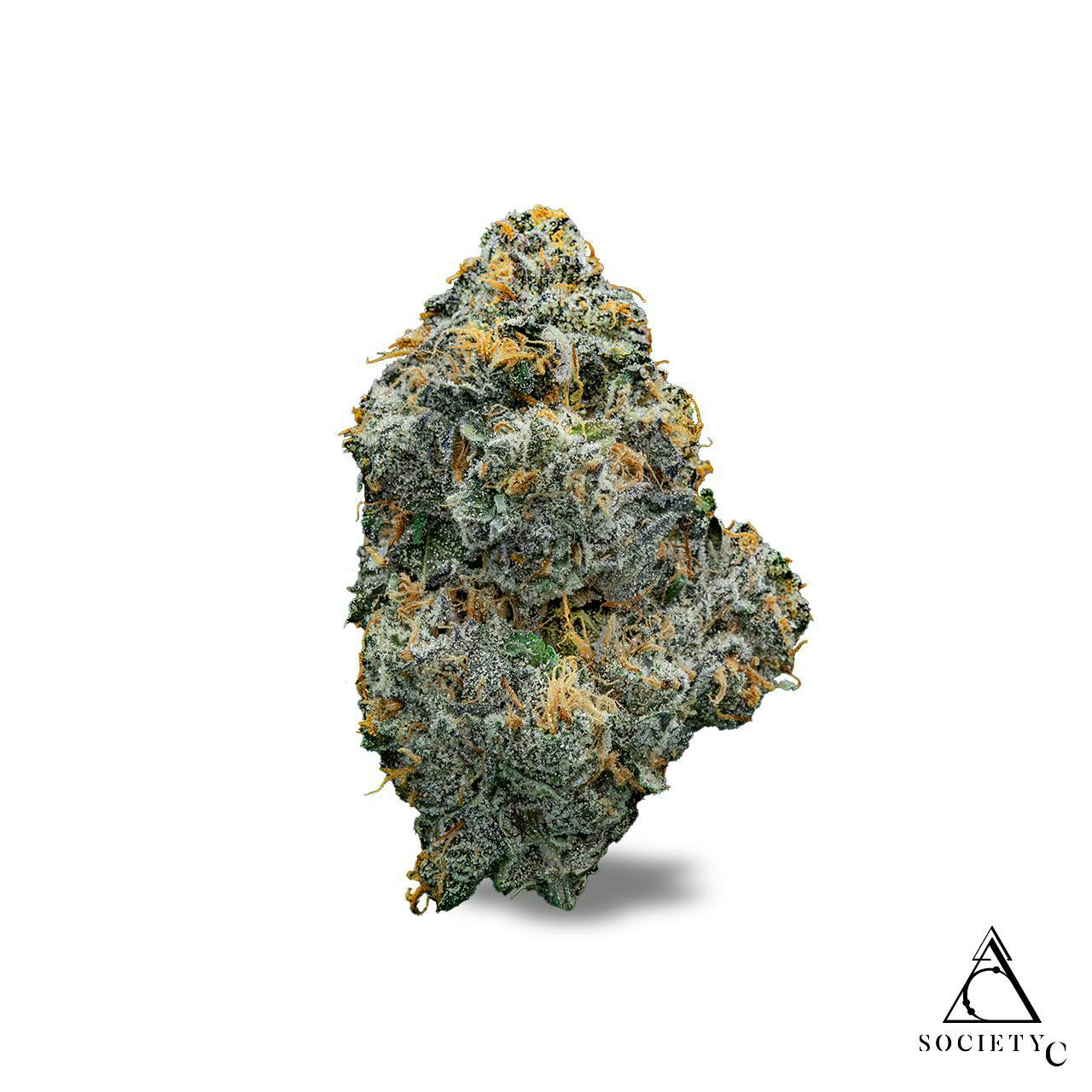 Society C SOCIETY C | GASTRO POP | BULK | INDICA/HYBRID — FLOWER