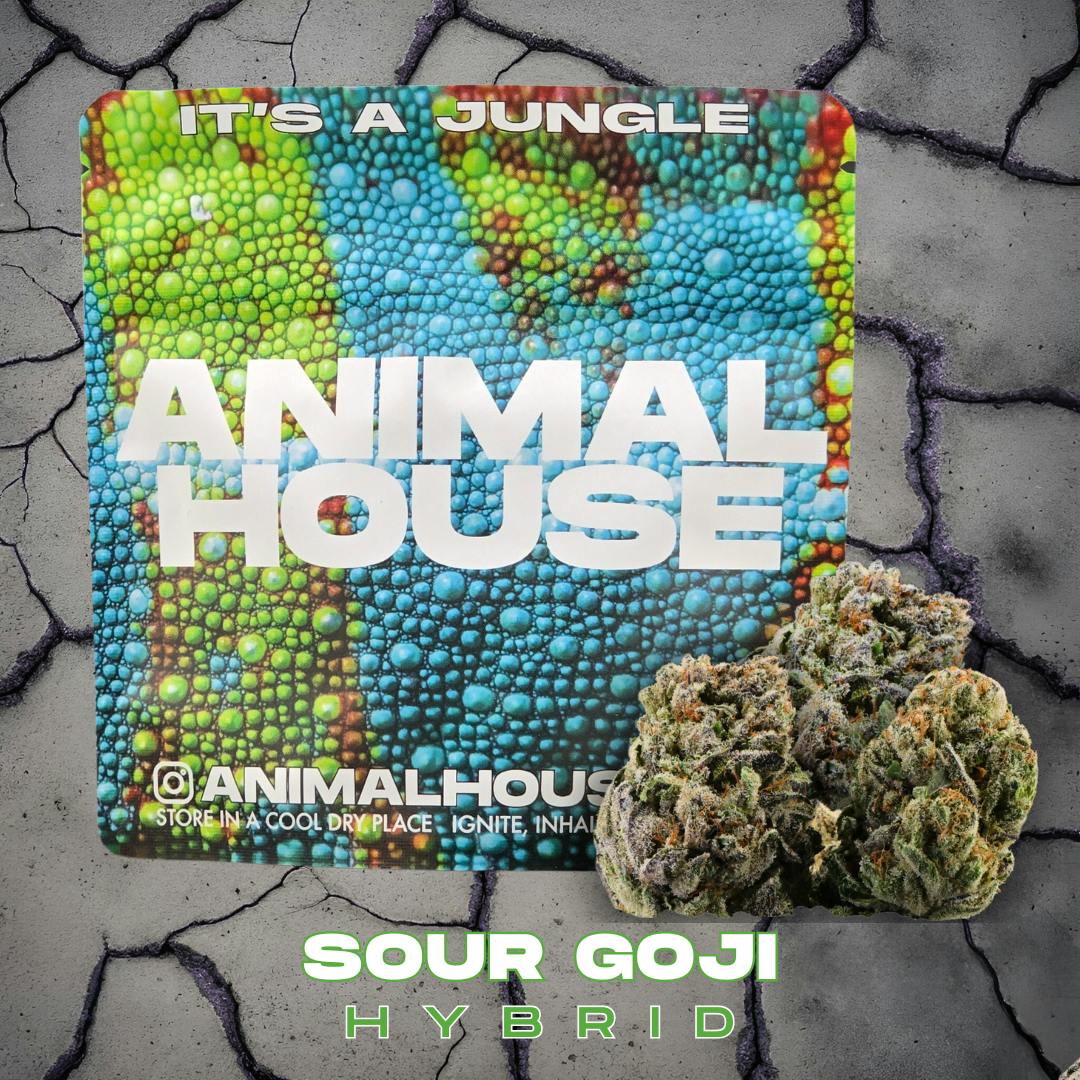 Flower | Animal House | Sour Goji | 3.5g
