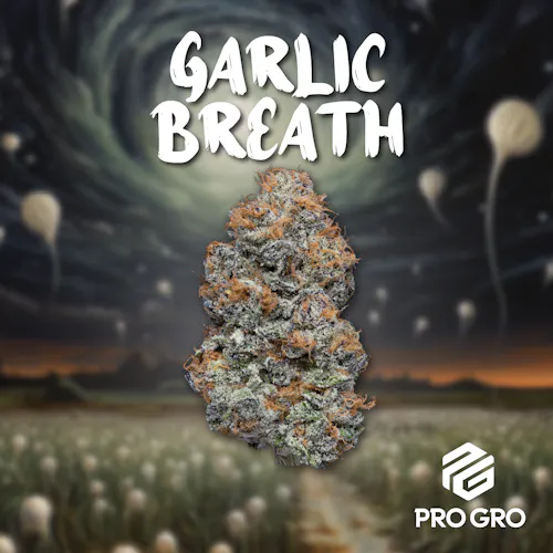 Garlic Breath Infused Pre-Rolls 3pk (3.0g Total)-1
