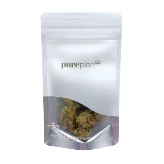 Grid City Grapes (Choice)