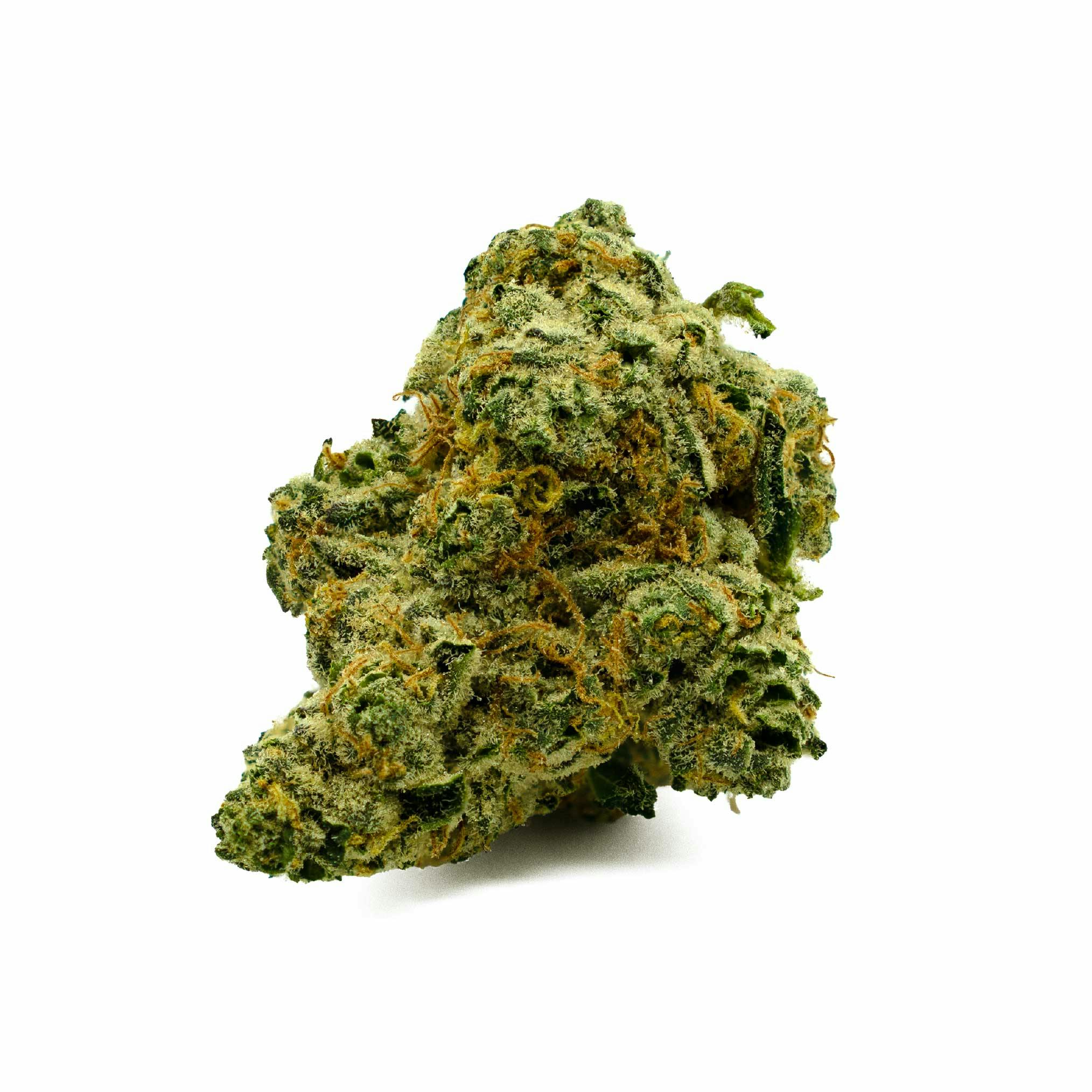 Rose Fuzz #9 Whole Flower