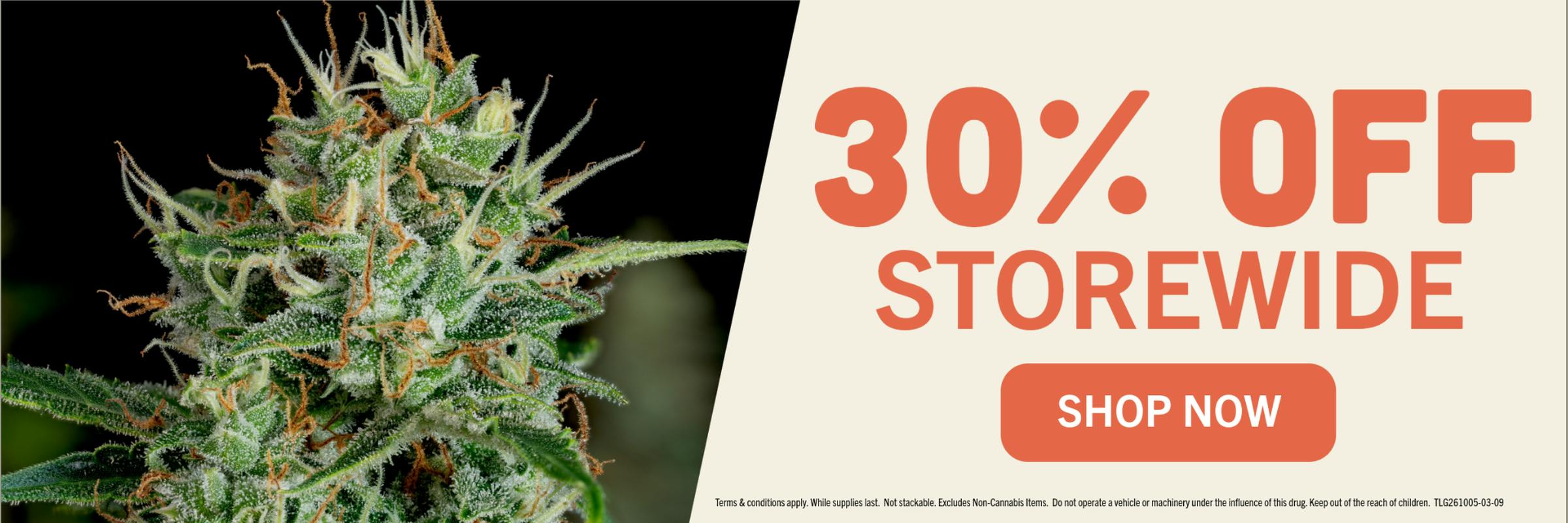 30% OFF STOREWIDE SALE