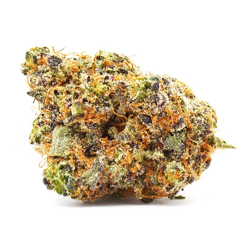 DISTRO 10 DISTRO 10 | GORILLA GLUE | BULK | HYBRID — FLOWER