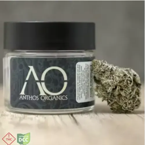 White Truffle | Juniors Flower | 14.15g-active