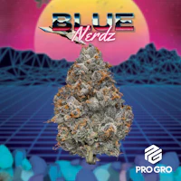 Blue Nerdz 1g Pre-Roll - product image at King of Budz