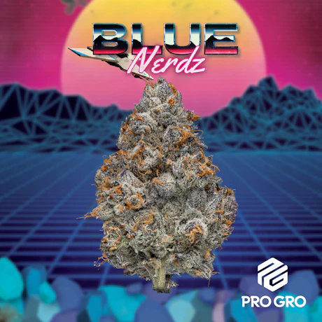Blue Nerdz 1g Pre-Roll - product image at King of Budz