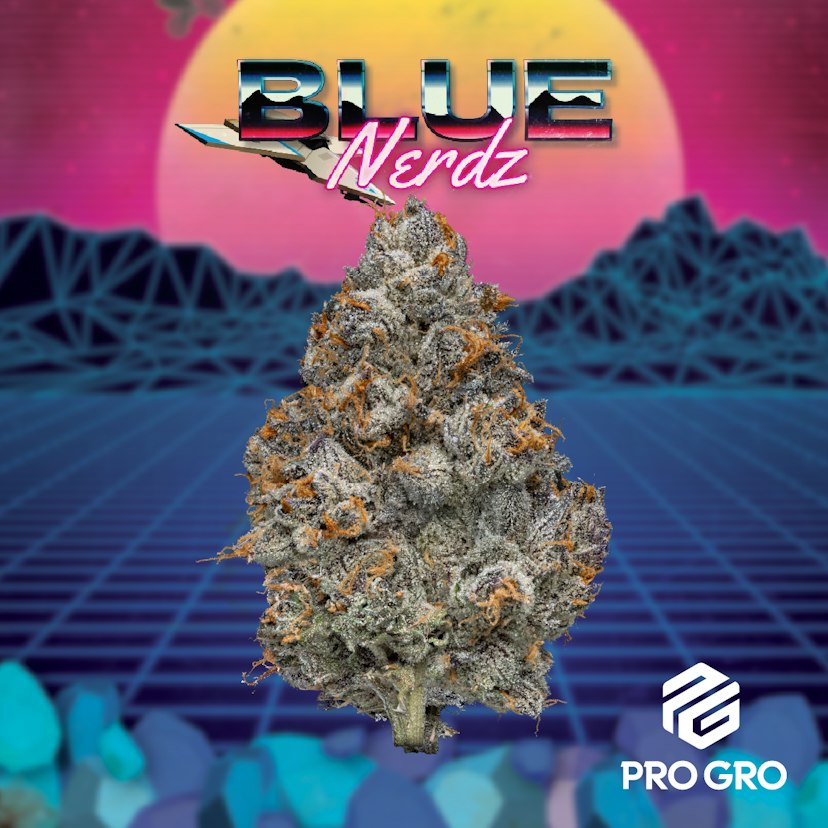 Blue Nerdz Deli