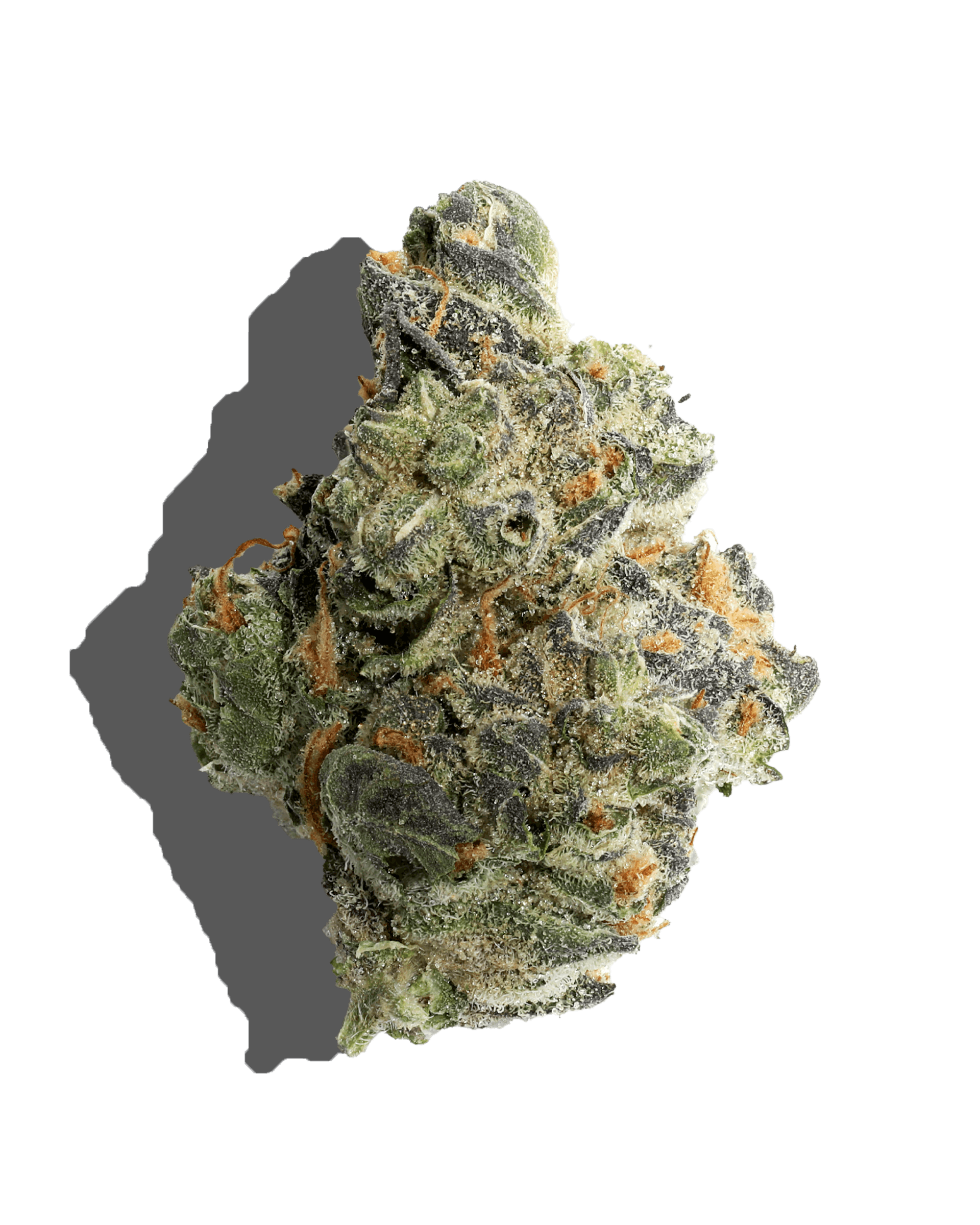 GMO 3.5G