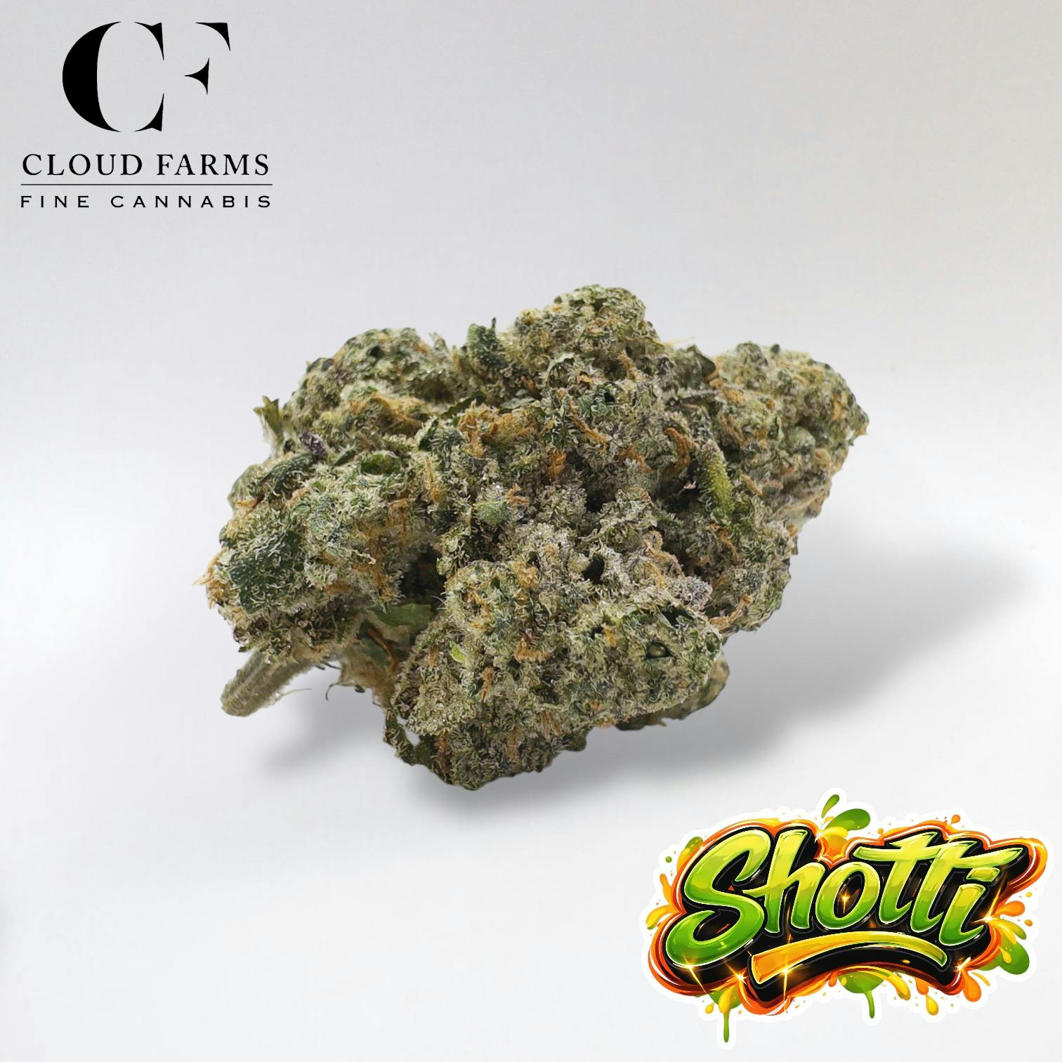 SherbGotti | Deli Flower (Gold)