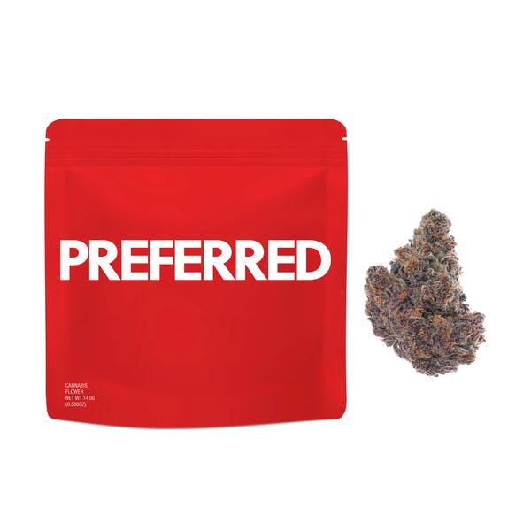 Preferred Gardens | Purple Medusa | Flower