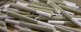 Pre-Rolls category image