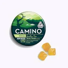 CAMINO | SPARKLING PEAR | 40MG THC, 120MG CBD