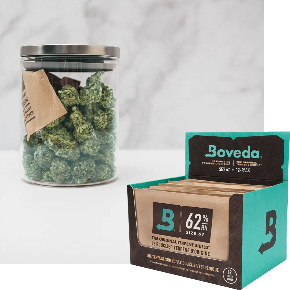 Boveda Hydration Pack | Small