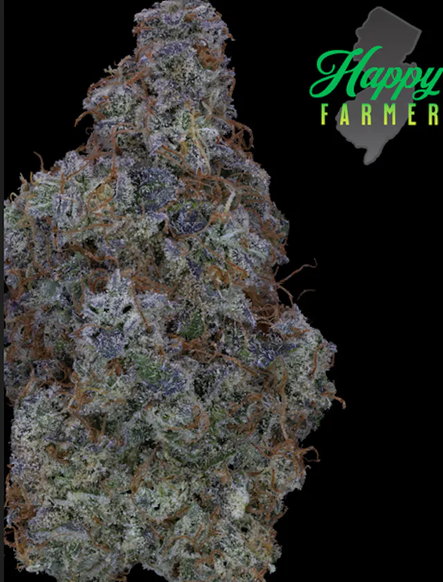 Happy Farmer Smalls Cinnabonz 7g (hybrid, small buds)