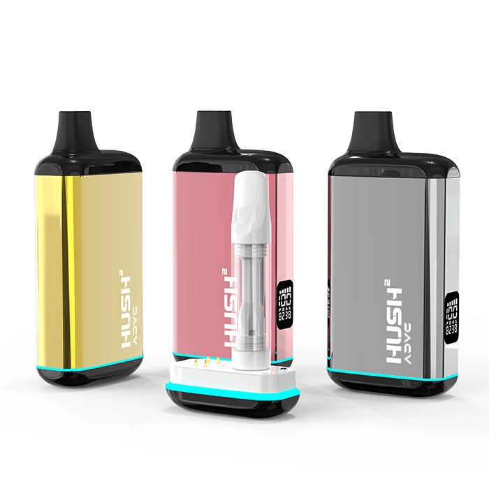 Susan‼️ Susan Link | Steckbrief, Bilder und News | GMX.CH