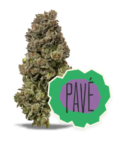 District Cannabis – Pave Pre-Packaged (3.5g)-2