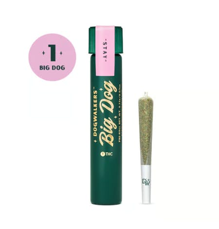 Product GTI Big Dog PreRoll - Jet Fuel OG (Stay) .75g