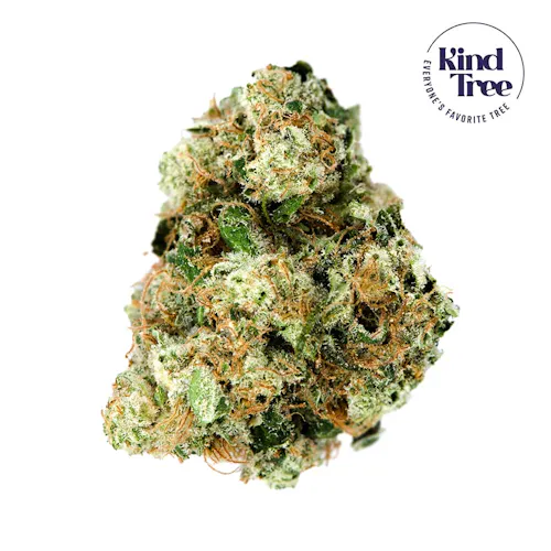 Kind Tree | Littles | Afghani | 7g-1