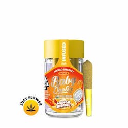 Mango Sherbet - 5pk Infused Preroll 0.5g ea