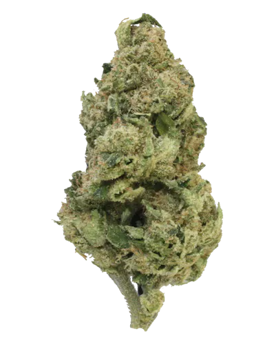 Rolling Green | Jar | Mango Runtz | 3.5g-1