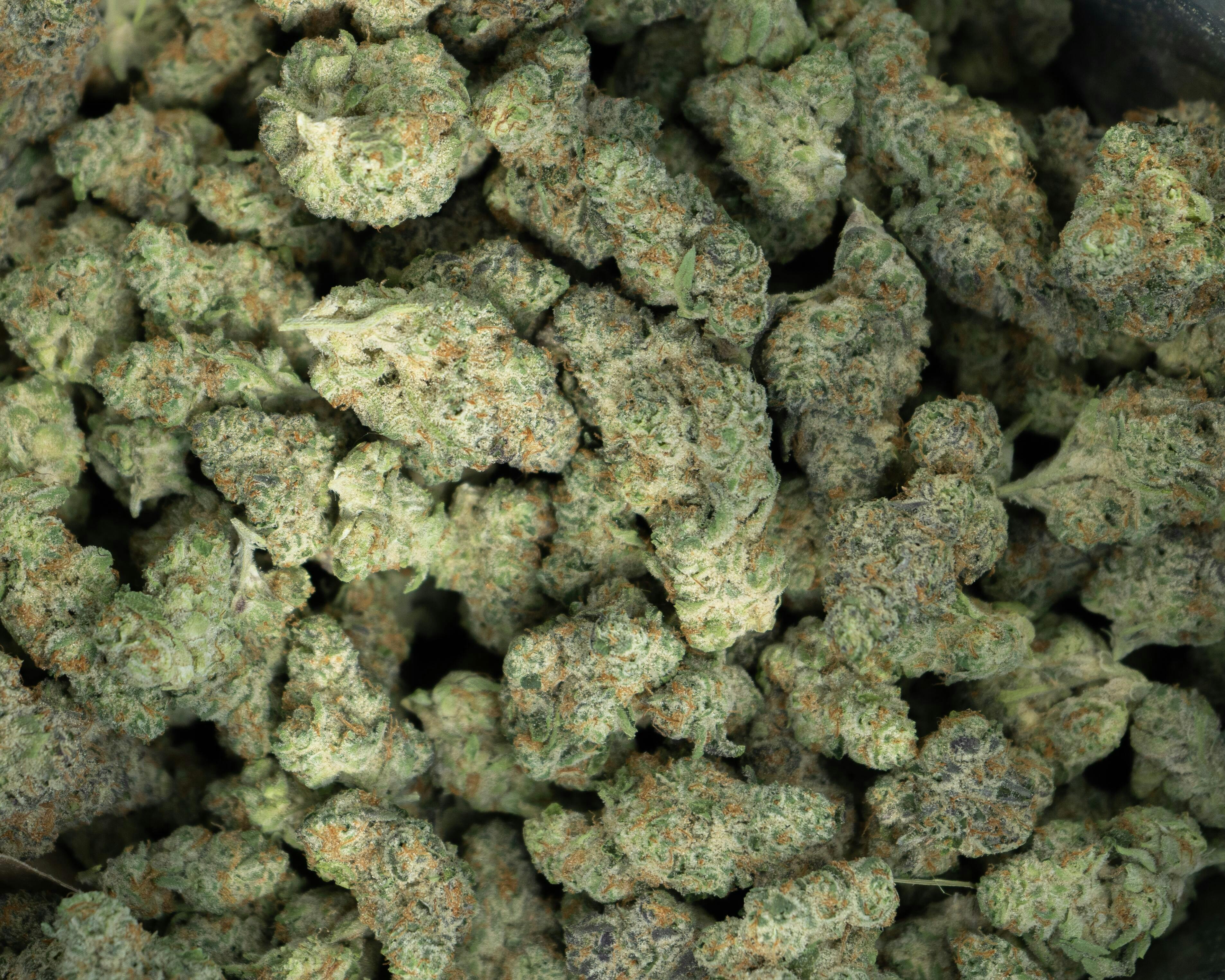 Product: UPLYFTED | BANACONDA | BULK | SATIVA