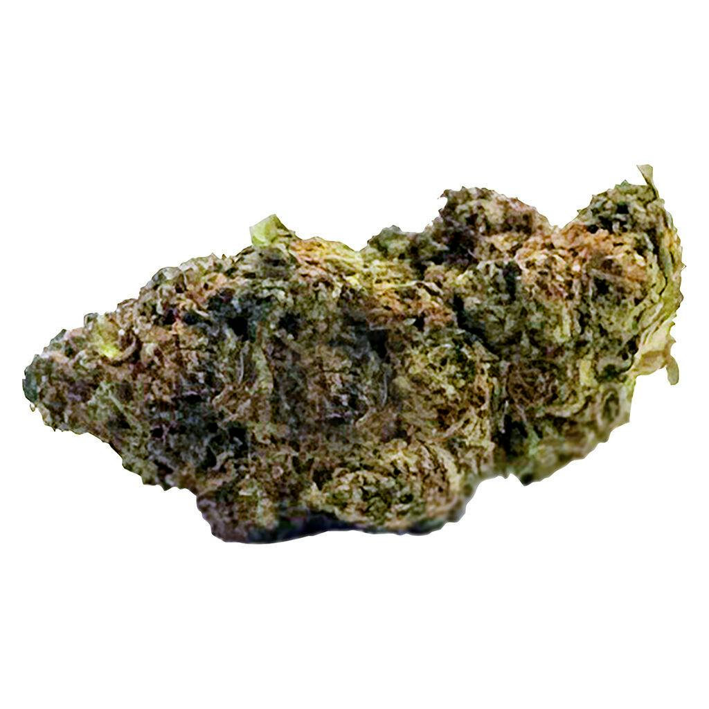 ●BIG DANK KING East Coast Dank'z - 14g | TreeTop - Burlington