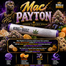 KOB - 1g Preroll - MAC Payton - PRE_ROLLS by King of Budz at King of Budz