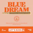 Let's Blue Dream