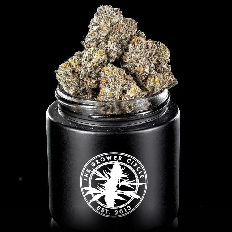 The Grower Circle | Planet 13 Las Vegas