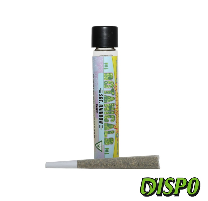 Cheech and Chong - Sgt Rainbow 1.2G Infused Pre-Roll