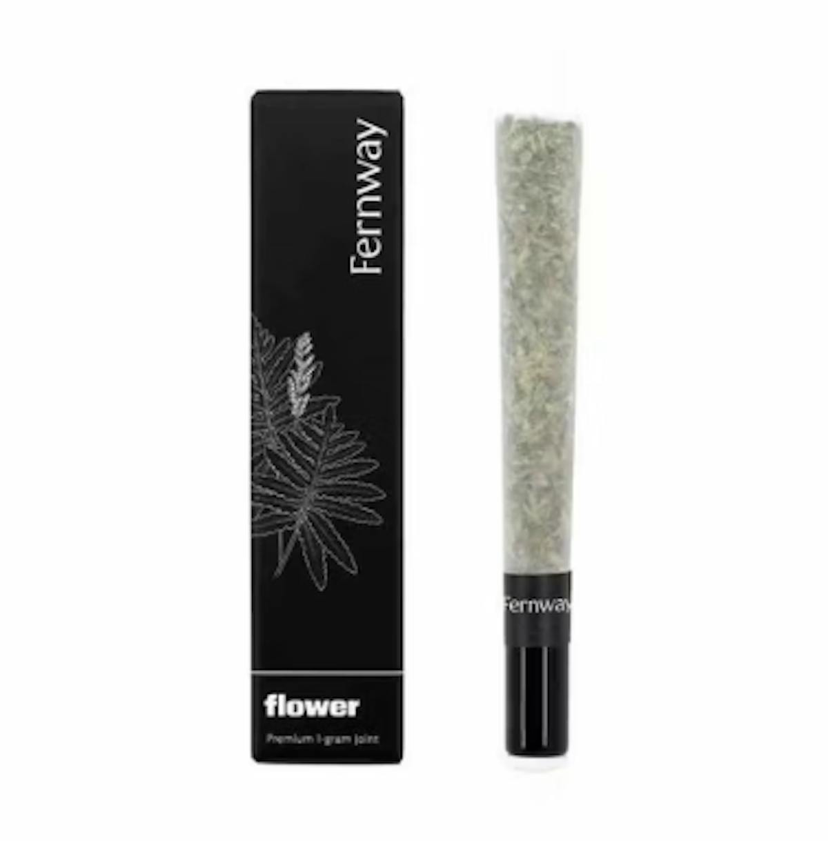 Photo of Fernway Mango 1g Preroll
