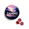 Camino Wild Berry Cannabis-Infused