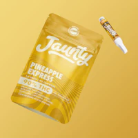Pineapple Express | 510 | CDT - product image at King of Budz