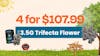 4 for $107.99 - 3.5G Trifecta Flower