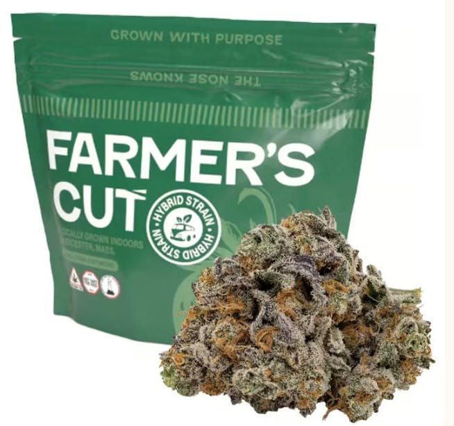 Product: Maui Magilla Glue [28g]