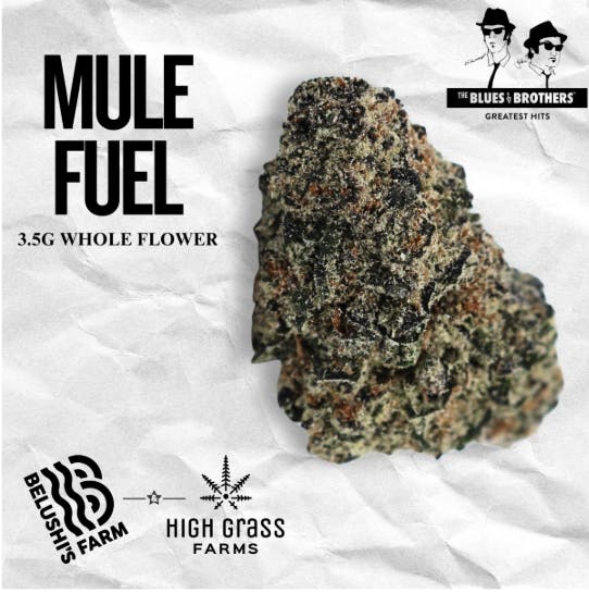 The Blues Brothers Mule Fuel 3.5G