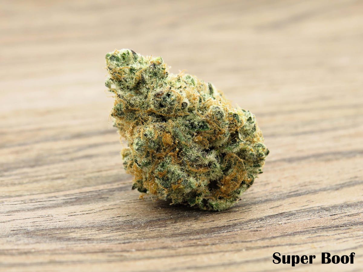Photo of Super Boof