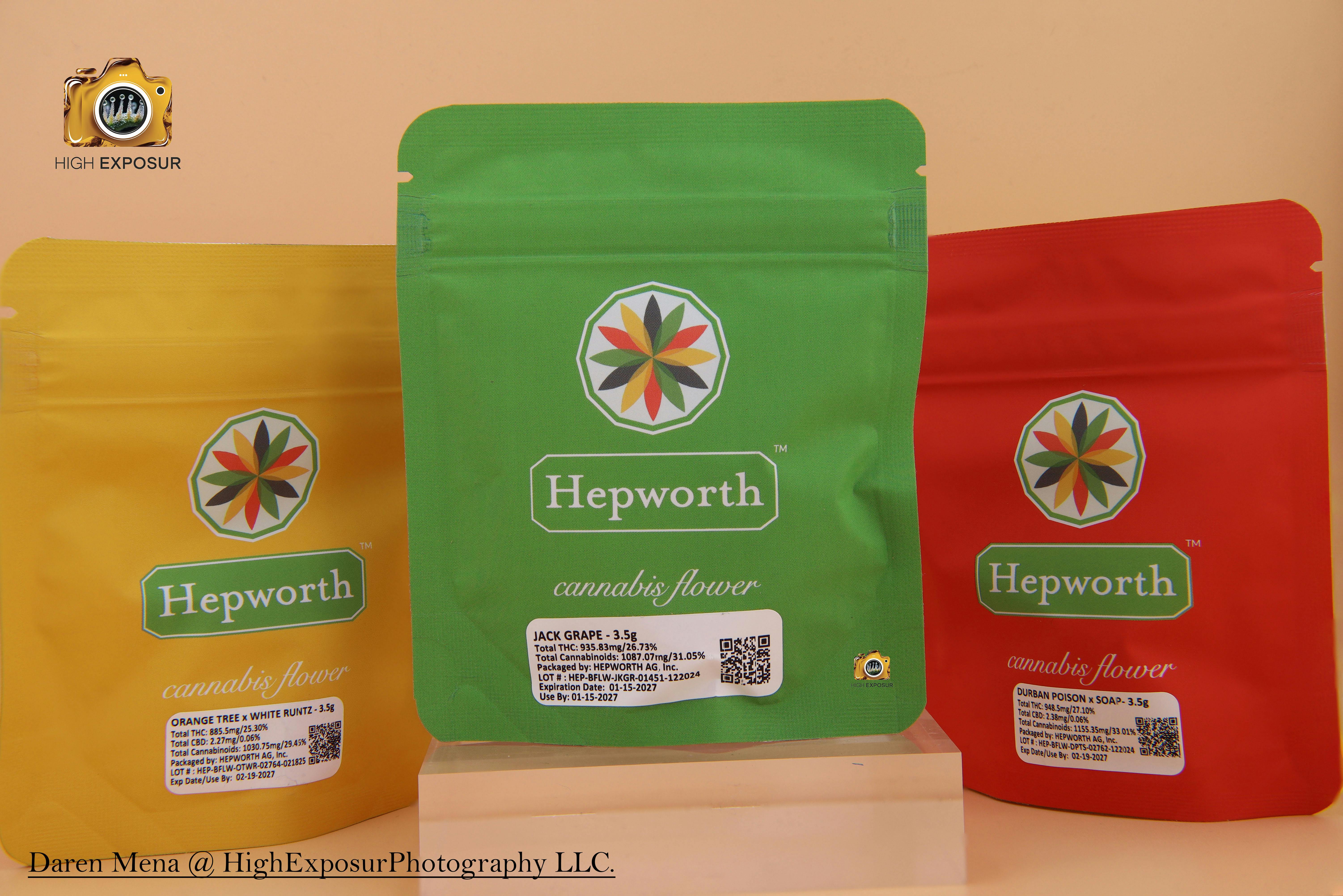 HEPWORTH HEPWORTH - Terp Poison - Flower - 3.5g - Bronx Joint NY