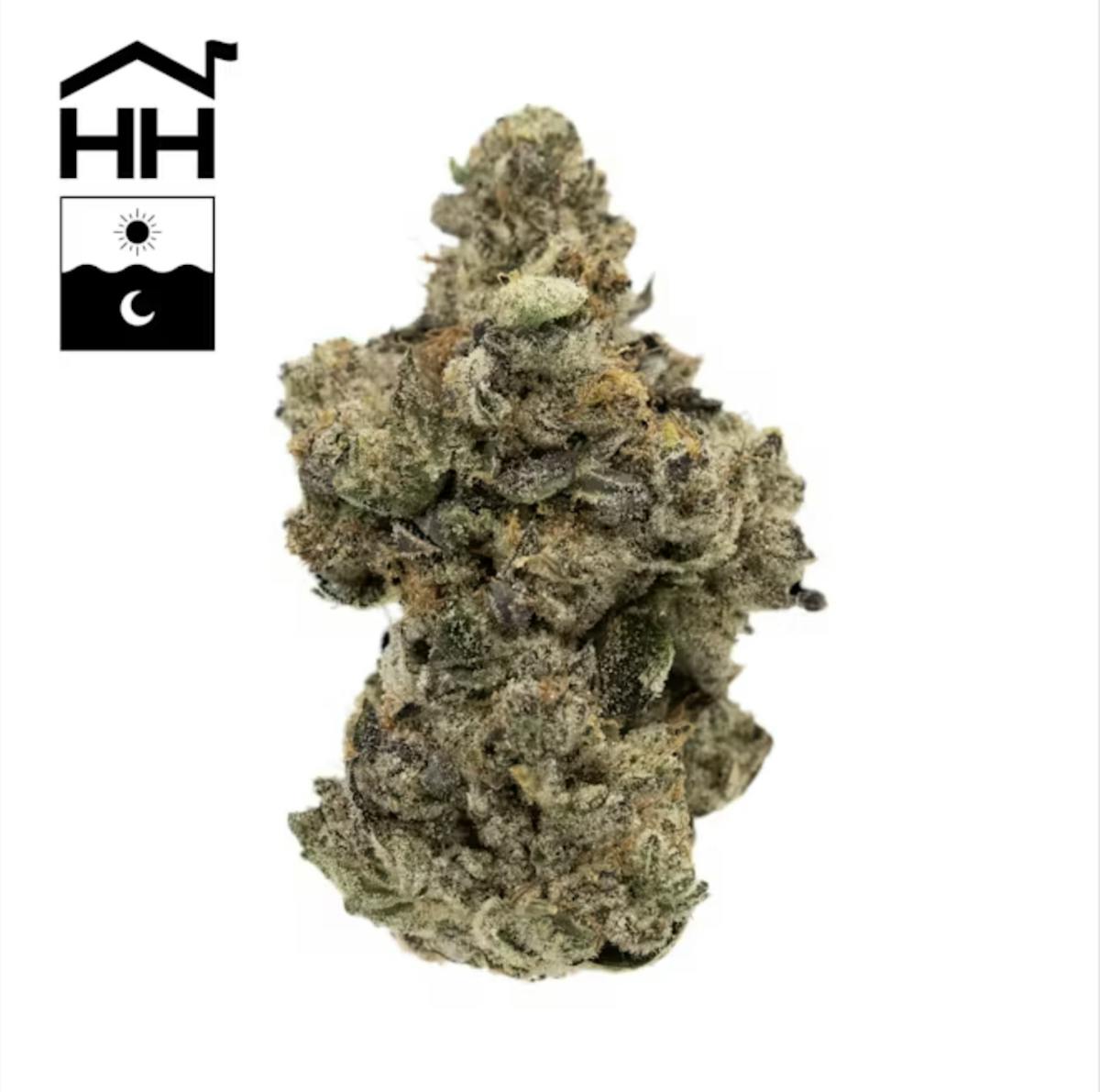 Harbor House Garlic Ice Cream 1/8oz Flower | Harbor House Collective