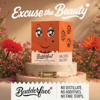 BUDDERFACE | Tangerine Punch | 1G | Artisanal Live Resin 510 Disposable Cart - product image at King of Budz