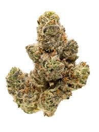 image of Ghost Breath | 3.5g Prepackaged Flower