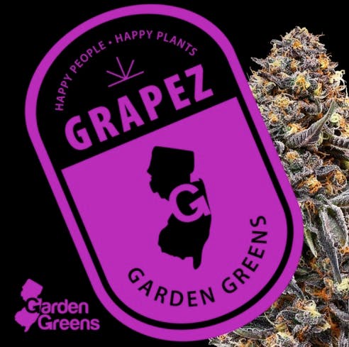 Grapez | Ascend Dispensary - Fort Lee