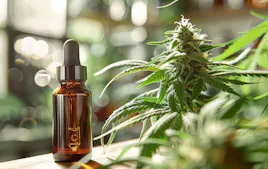 Tinctures category image