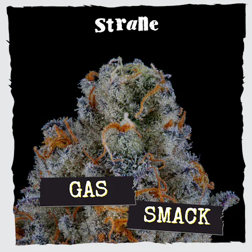 Gas Smack 3.5g – Strane (Pre-Pack)-1