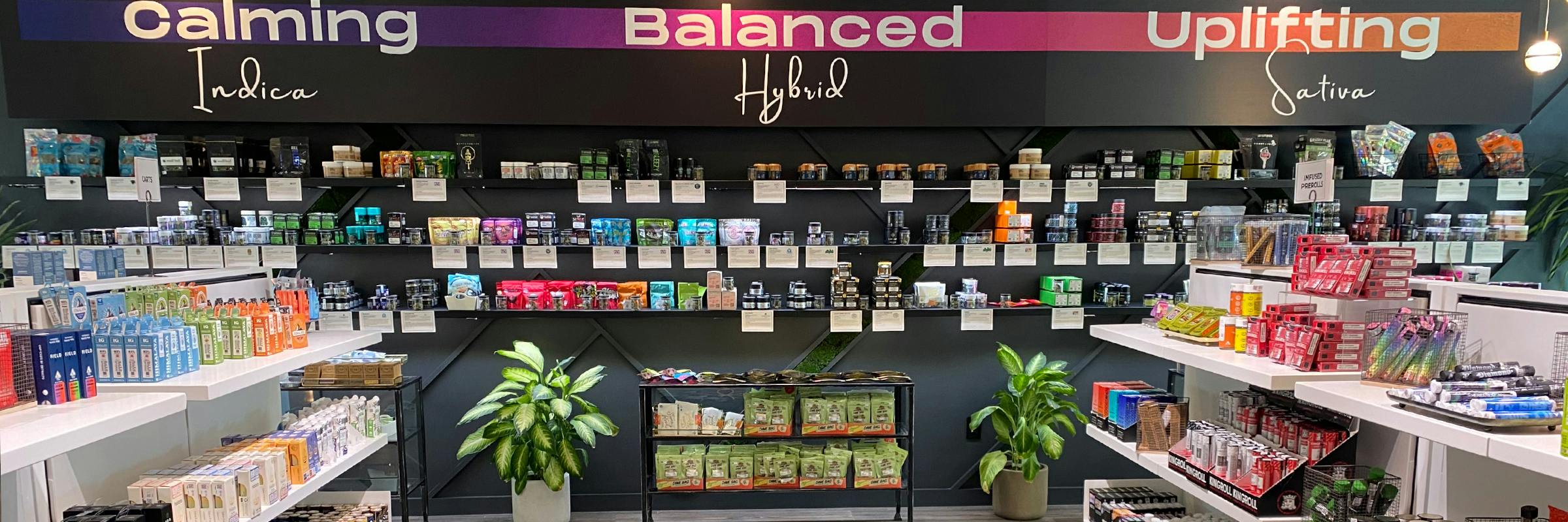 Jane dispensary cannabis